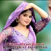 About Cheer Mero Khich Rahyo Dust Sushasan Song